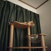 ヒメ日記 2025/06/26 05:01 投稿 星乃 愛音 横浜貴楼館