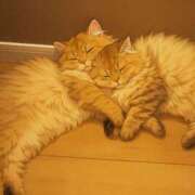 ヒメ日記 2025/07/05 14:31 投稿 星乃 愛音 横浜貴楼館