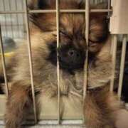 ヒメ日記 2025/07/06 07:41 投稿 星乃 愛音 横浜貴楼館