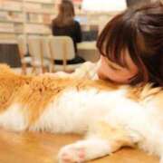 ヒメ日記 2025/01/12 19:33 投稿 しおり TALENT（タレント）