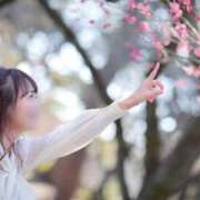 ヒメ日記 2025/02/11 20:03 投稿 しおり TALENT（タレント）