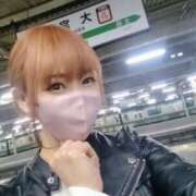 ヒメ日記 2025/03/22 02:50 投稿 しおり TALENT（タレント）