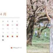 ヒメ日記 2025/03/23 23:23 投稿 しおり TALENT（タレント）