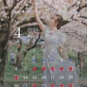 ヒメ日記 2025/03/31 11:16 投稿 しおり TALENT（タレント）