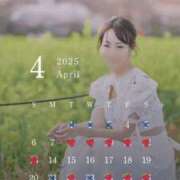 ヒメ日記 2025/04/12 19:31 投稿 しおり TALENT（タレント）