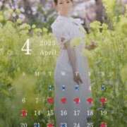 ヒメ日記 2025/04/22 20:30 投稿 しおり TALENT（タレント）