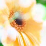 ヒメ日記 2025/07/05 09:33 投稿 しおり TALENT（タレント）