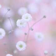 ヒメ日記 2025/07/05 09:56 投稿 しおり TALENT（タレント）