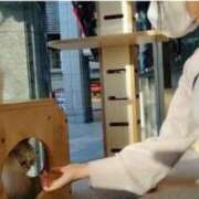 ヒメ日記 2025/07/06 13:03 投稿 しおり TALENT（タレント）