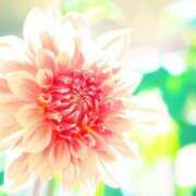 ヒメ日記 2025/07/06 23:01 投稿 しおり TALENT（タレント）