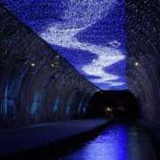 ヒメ日記 2025/07/08 09:02 投稿 しおり TALENT（タレント）