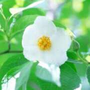 ヒメ日記 2025/07/16 10:58 投稿 しおり TALENT（タレント）