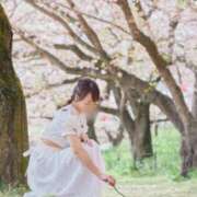 ヒメ日記 2025/07/17 09:45 投稿 しおり TALENT（タレント）