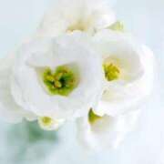 ヒメ日記 2025/07/31 07:01 投稿 しおり TALENT（タレント）