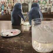 ヒメ日記 2025/07/31 21:06 投稿 しおり TALENT（タレント）