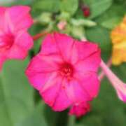 ヒメ日記 2025/08/02 10:46 投稿 しおり TALENT（タレント）