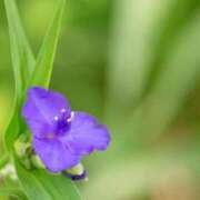 ヒメ日記 2025/08/06 08:57 投稿 しおり TALENT（タレント）