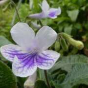 ヒメ日記 2025/08/10 14:30 投稿 しおり TALENT（タレント）