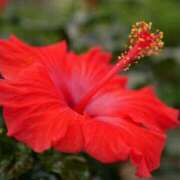 ヒメ日記 2025/08/11 09:39 投稿 しおり TALENT（タレント）