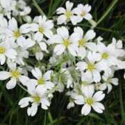 ヒメ日記 2025/08/22 08:15 投稿 しおり TALENT（タレント）