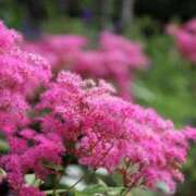 ヒメ日記 2025/08/23 09:09 投稿 しおり TALENT（タレント）