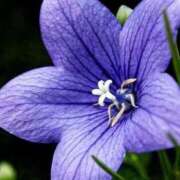 ヒメ日記 2025/08/29 07:34 投稿 しおり TALENT（タレント）