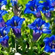 ヒメ日記 2025/09/01 16:22 投稿 しおり TALENT（タレント）