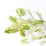 ヒメ日記 2025/09/03 07:09 投稿 しおり TALENT（タレント）