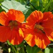 ヒメ日記 2025/09/07 11:11 投稿 しおり TALENT（タレント）