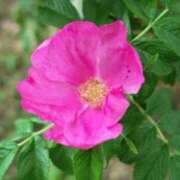 ヒメ日記 2025/09/08 11:37 投稿 しおり TALENT（タレント）