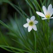 ヒメ日記 2025/09/09 11:08 投稿 しおり TALENT（タレント）