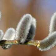 ヒメ日記 2025/09/14 07:48 投稿 しおり TALENT（タレント）