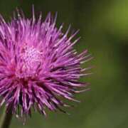 ヒメ日記 2025/09/19 14:43 投稿 しおり TALENT（タレント）