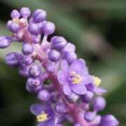 ヒメ日記 2025/09/21 08:39 投稿 しおり TALENT（タレント）