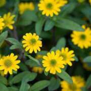 ヒメ日記 2025/09/22 07:01 投稿 しおり TALENT（タレント）