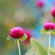 ヒメ日記 2025/09/23 07:01 投稿 しおり TALENT（タレント）