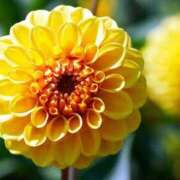 ヒメ日記 2025/09/25 09:22 投稿 しおり TALENT（タレント）