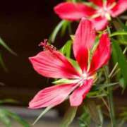 ヒメ日記 2025/09/28 11:46 投稿 しおり TALENT（タレント）