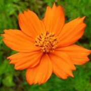 ヒメ日記 2025/10/06 07:17 投稿 しおり TALENT（タレント）