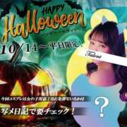 ヒメ日記 2025/10/06 15:21 投稿 しおり TALENT（タレント）