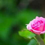 ヒメ日記 2025/10/09 00:15 投稿 しおり TALENT（タレント）