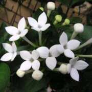 ヒメ日記 2025/10/11 07:01 投稿 しおり TALENT（タレント）