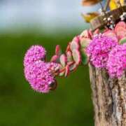 ヒメ日記 2025/10/16 13:09 投稿 しおり TALENT（タレント）