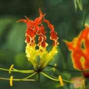 ヒメ日記 2025/10/20 17:55 投稿 しおり TALENT（タレント）