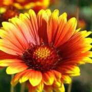 ヒメ日記 2025/10/26 09:34 投稿 しおり TALENT（タレント）