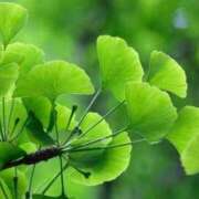 ヒメ日記 2025/10/27 10:41 投稿 しおり TALENT（タレント）