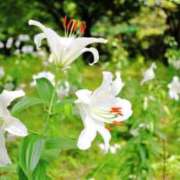 ヒメ日記 2025/11/07 06:00 投稿 しおり TALENT（タレント）