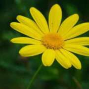 ヒメ日記 2025/11/08 17:11 投稿 しおり TALENT（タレント）