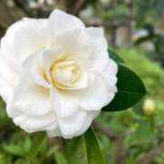 ヒメ日記 2025/11/12 09:31 投稿 しおり TALENT（タレント）