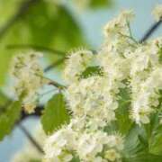 ヒメ日記 2025/11/14 15:13 投稿 しおり TALENT（タレント）